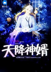 天降神婿在线阅读免费完整版
