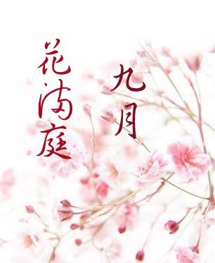 九月花打三个数字