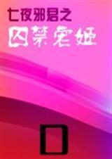 七夜宠姬全文免费阅读