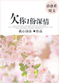 欠你一份深情是什么意思
