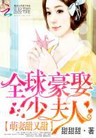 全球豪娶小逃妻 沐漓公子