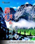 霸气军长电视剧