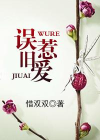 误惹危情总裁免费阅读