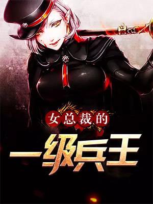 女总裁的超级兵王夜风武