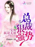 总裁宝贝文