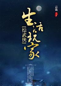 综武侠生活玩家何错之有TXT