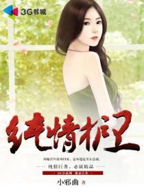 纯情护卫txt免费