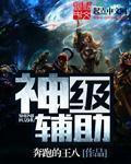 神级辅助carry全联盟txt