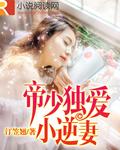 帝少独宠娇妻全文免费