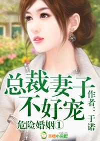 危险婚姻总裁妻子不好哄