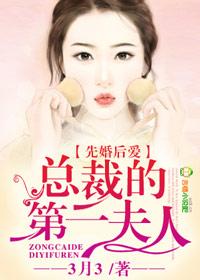 总裁的第一夫人免费阅读