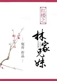 红楼之林家兄妹迷路的宝宝是谁