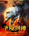 圣剑和魔剑