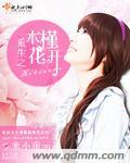 重办木槿花