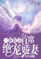 一夜惊喜天价娇妻