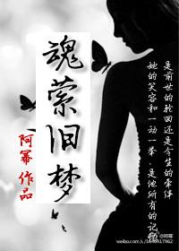 魂萦旧梦阿幂书评