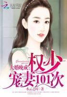 大婚晚成傅少宠妻进化论
