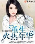 重生之火热的年代