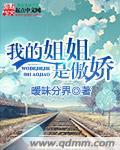 我的姐姐是傲娇叶清然