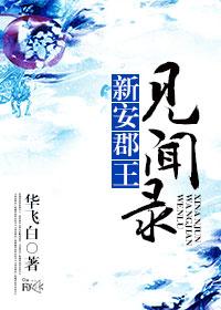 新安郡王见闻录大结局