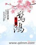 民国惊鸿TXT