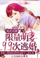 从天而降的呆萌小狐妖
