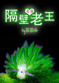 隔壁老王百科