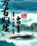 万古属于哪个区