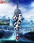 倾宋揽月