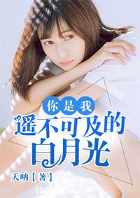 你是我遥不可及的白月光什么意思