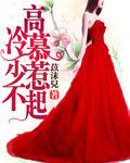 慕少高调宠妻