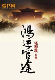 鸿运官途txt
