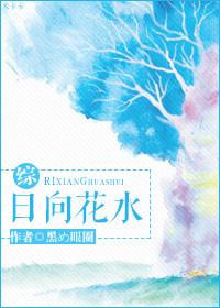 日向花火百科