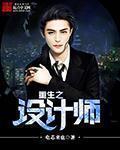 重生之设计师的崩溃之路无删减