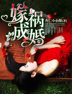 嫁祸成婚古言