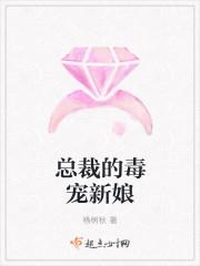 总裁的新宠新妻
