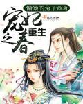 重生宠妃推荐