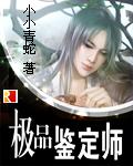 极品鉴宝师作者沧一笑