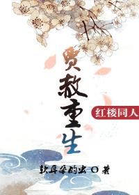 贾赦红楼文主受