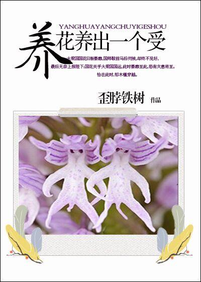 书名我家王妃是逗比