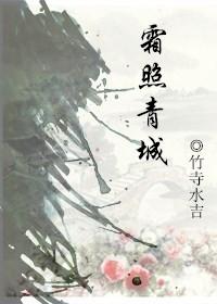 霜照青城gl洛期
