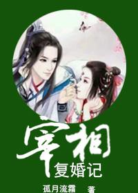 宰相追妻记