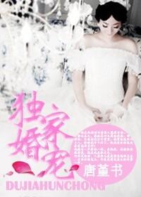 独家婚宠替嫁的小妻甜且盐