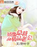 娇蛮鲜妻总裁请宽衣
