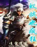 蚁贼完本了吗