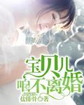 咱不离婚TXT
