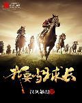 我要做s球王