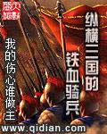 纵横三国的东方铁骑txt
