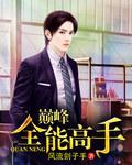 巅峰全才完结本