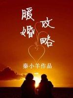 暖婚100分全文免费阅读无弹窗